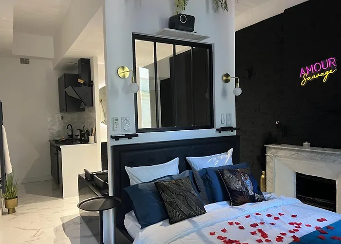 Amour Sauvage-Love Room****, Centre-Historique